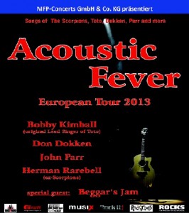 13-04-02-plakat-acoustic-fever-small_460